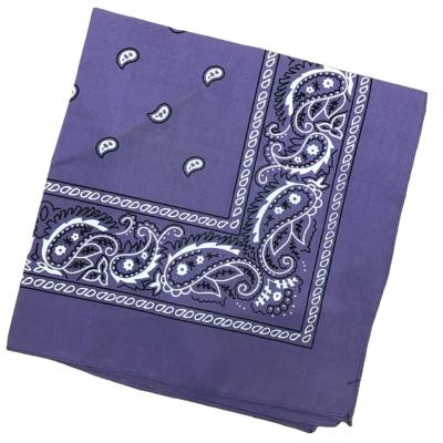 China Multifunctional Wholesale Colorful Paisley Dog Bandana Ciclismo for sale