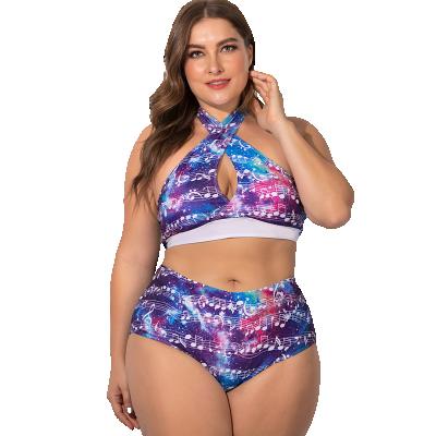 China Dropshipping Anti-UV XL 5XL plus size two piece vacation beach bikini swimwear for women wholesale for sale