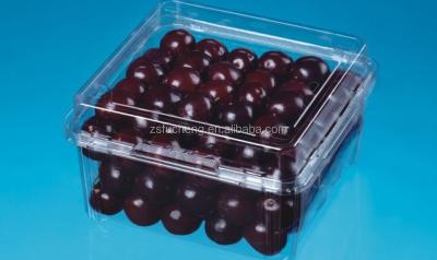 China Biodegradable Hot Sale Transperant Disposable Plastic Fruit Packaging Boxes For Cherry for sale