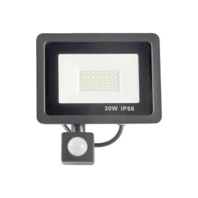 China CE Waterproof Outdoor Spotlight IP65 20W 30W 100W 200W Remote Control Led Flood Light Garden Flood Light for sale