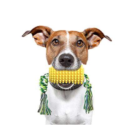 China Dog Toy Chew Rubber Corn Toy Molar Indoor Training Interactive Dog Toothbrush Toy Viable for sale