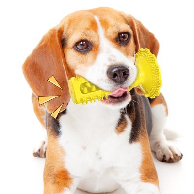 China Viable Classic Sounding Dog Molar Toothbrush Toy Chew Rubber Dog Molar Toy Indoor Training Interactive Dog for sale