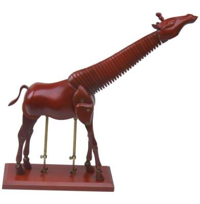 China Ausbildungs-Verwendungs-Künstler-hölzerne Männchen-Giraffen-Art völlig Poseable-Mannequin zu verkaufen