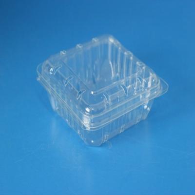 China Blueberry Plastic Packaging Box Disposable Container for sale