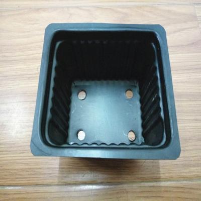 China Agriculture PS Seeding Tray With Breathe Hole for sale