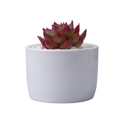 China Wholesale Small Succulent Flower Ceramic White Ceramic Planter Minimalist Retro Small And Large Pot Outdoor Balcony And Garden Rose Home Gard for sale