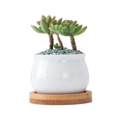 China Simple Minimalist Mini Flower Pot White Gardening Creative Succulent Ceramic Potted Small Bamboo Tray Set Cheaper Wholesale Eco-Friendly for sale