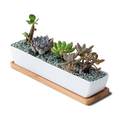 China Flower Planter Simple Minimalist White Creative Succulent Ceramic Pot Set Strip Ceramic Pot Tray Bamboo Planter Pot Set Cheapest Wholesale for sale