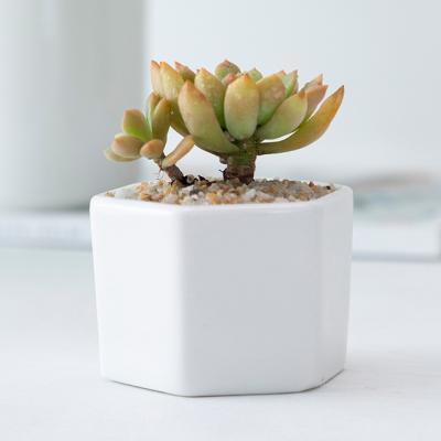 China Wholesale Small CLASSIC Simple White Creative Ceramic Honeycomb Shape Potters Porcelain Hexagonal Succulent for sale