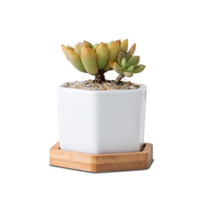 China Beautiful small simple minimalist white creative ceramic hexagon succulent pot with tray bamboo scenography for sale