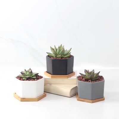 China Europe Mini Ceramic Flower Planter Pot White Succulent Pots With Tray Bamboo Pots For Plants Flower for sale