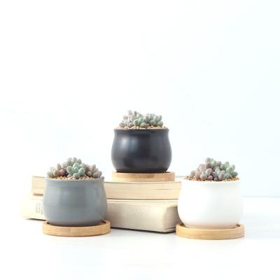 China Modern creative matte black and white gray juicy flowerpot minimalist personality handsome for sale