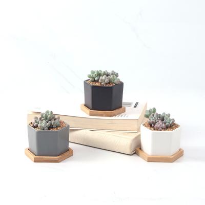 China Desktop Decor Mini Flower Pot Succulents Minimalist Home Office Flower Pot for sale