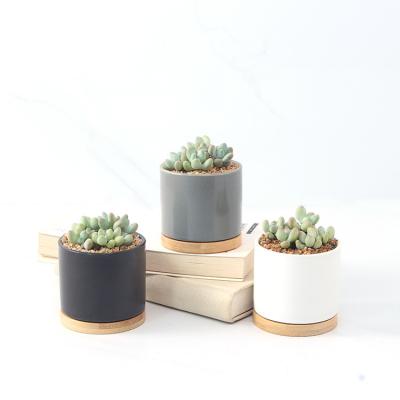 China Europe Succulent Pots White/Black/Grey Mini Ceramic Flower Planter Pot with Bamboo Tray for sale