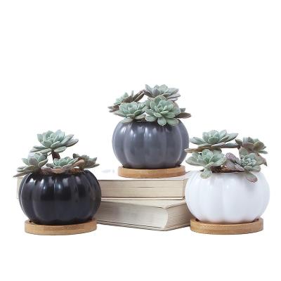 China New Contemporary Flower Pots Succulent Garden Plants Flower Pots For Plants Pumpkin Flower Pot for sale