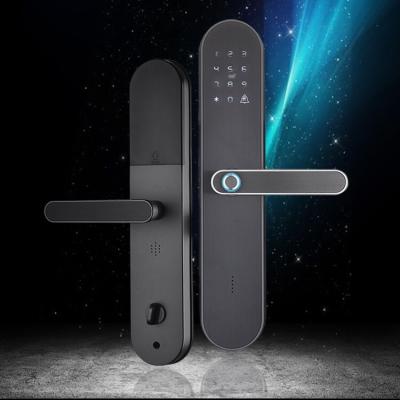 China Bedroom Electronic Fingerprint Hotel Lock Modern Times Digital Door Password Security Lock for sale