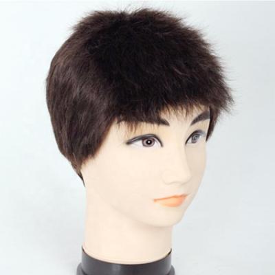 China New Arrival Short Straight Pixie Hairpiece Hairpiece Black Wig For Man for sale