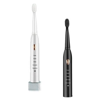 China Dupont Sonic Tooth Brush Electric Waterproof Wholesale for sale