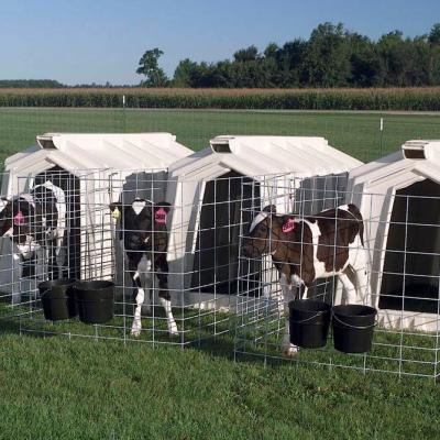 China White House Hutch Calf Space Easy Moving Installation Easily Clean Cattle Saving And Labor Saving for sale