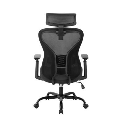 China High Quality Rotation Small EU Mesh Office Ergonomic Chair 2022 Adjustable Height for sale