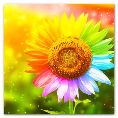 China 5D DIY Diamond Painting Full Drill Round Gem Art Colorful Modern Sunflower Diamond Paint By Numbers Mosaic Kit for sale