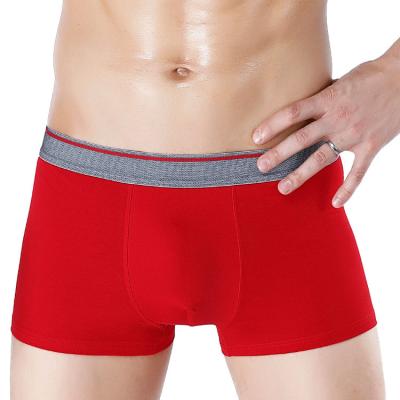 China Free sample antibacterial china high quality custom plain white men underwear brief for sale