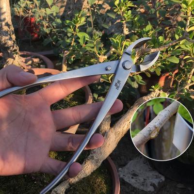 China High Quality Professional Anti-Slip Handle WholesaleBlack Pine Bonsai ToolsPruning ScissorsMstwaBonsai Garden Tools for sale