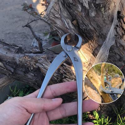 China Wholesale Bonsai Black Pine Handle Pruning ScissorsMstwaBonsai ScissorsProfessional High Quality Anti-Slip ToolsPruning for sale