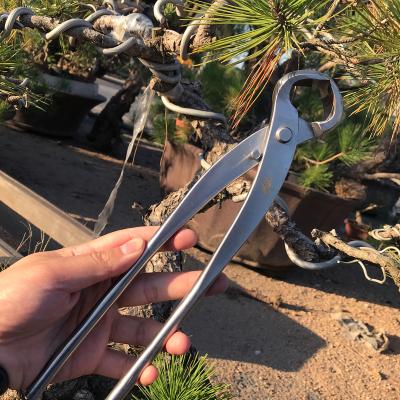 China Wholesale Podadora bonsai High Quality ToolsBypassProfessional pruning of scissorsAnti-skid handle black pine bonsai for sale