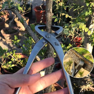 China wholesaleBlack Anti-slip professional quality pine handle steelBonsai ToolsPruning bonsaistainless scissors for sale