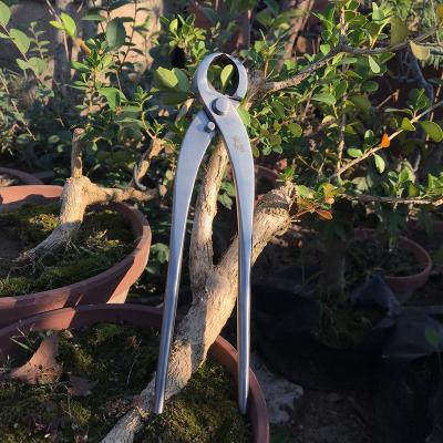 China Wholesale Garden Tool bonsaiPruning High Quality ScissorsIndustrial ToolsProfessional Bonsai Anti-skid Handle Black Pine Bonsai for sale