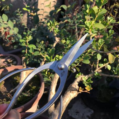 China High Quality Anti-skid Professional Pine Handle Bonsai LoppersPruning ToolsBypass Scissors Bonsai Loppers for sale