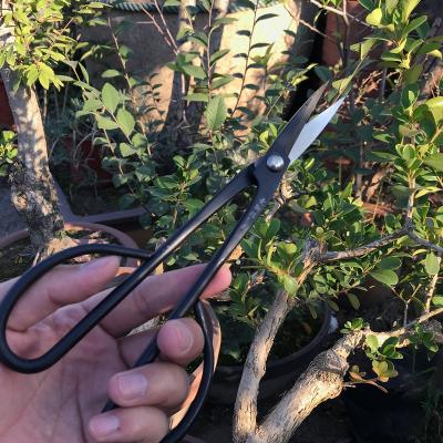 China wholesaleMstwaPruning Scissors Tools Bonsai Handle Bonsai High Quality Anti-skid Black Pine Bonsai Modeling Scissors for sale