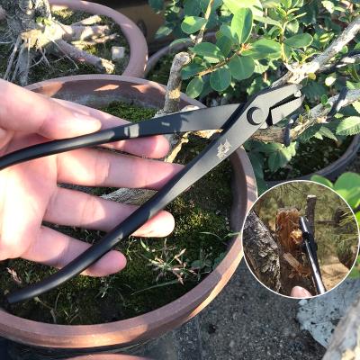 China Professional high quality wholesaleBlack anti-slip handle bonsai pinePruning steelBonsai scissorsstainless tools shears for sale