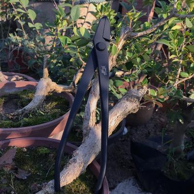 China WholesalePruning Anti-skid Handle Black Pine BonsaiProfessional High Quality SteelBonsai ScissorsStainless Plants Toy Garden Tools for sale