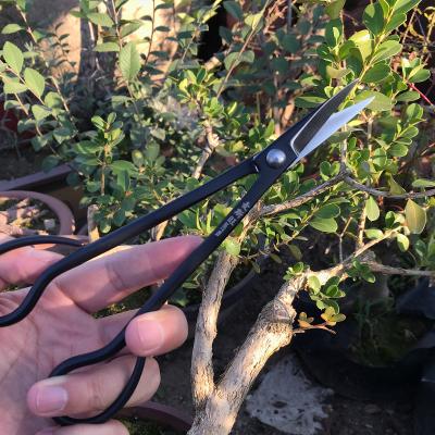 China High Quality Mstwa Pruning ToolsProfessional Pine Bonsai ScissorsBonsai Tree Bonsai Pruning Tools Anti-skid Handle for sale