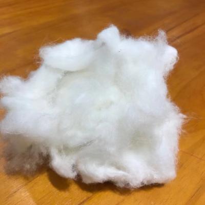 China Anti-bacteria Nature White Hemp Fiber For Spinning for sale