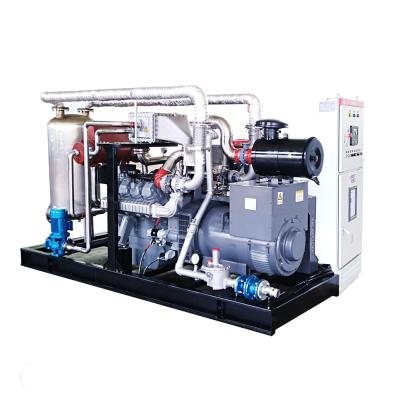 China 400V/230V 250kw Micro Natural Gas/Biogas/NG/CNG/Methane Gas CHP Generator Set For Sale for sale