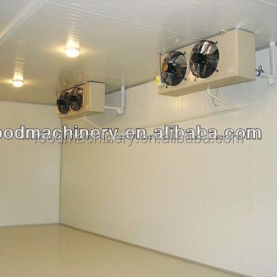 China cold room, 8 M3~20000 M3 modular cold storage room for sale