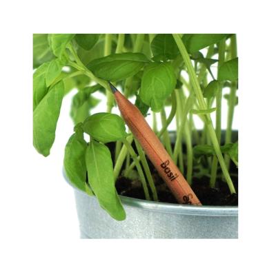 China Agriculture Denmark High Quality Eco-Friendly Green Gift Water Soluble Pencil for sale