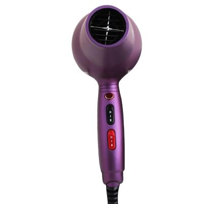 China Ionic Professional Hooded Hair Dryer Blow Dryer Hair Gorgeous Fashion Customized Hair Dryer 110v for sale