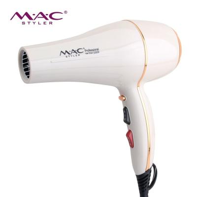 China Ionic Professional Custom Electric Hair Dryer Double Blow Voltage Ionic Hair Dryer Voltage Hair Dryer for sale