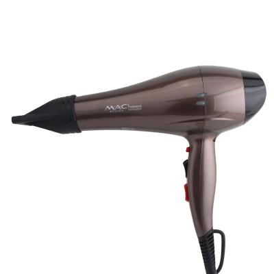 China Professional Ionic Long Life AC Motor Voltage Hair Dryer Hair Salon Equipment Best Double One Hair Dryer for sale