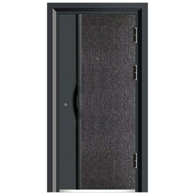 China Modern Pivot Security Door Sound Insulation Main Entrance Steel Door With Lock Smart Iron Exterior House Door Designs for sale