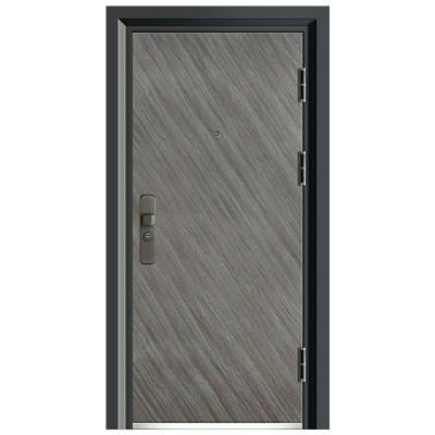 China Modern Pivot Security Door Sound Insulation Main Entrance Steel Door With Lock Smart Iron Exterior House Door Designs for sale