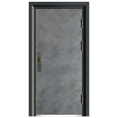 China Modern Pivot Security Door Sound Insulation Main Entrance Steel Door With Lock Smart Iron Exterior House Door Designs for sale