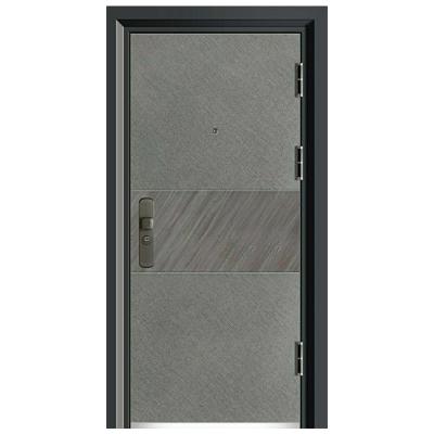 China Modern Pivot Security Door Sound Insulation Main Entrance Steel Door With Lock Smart Iron Exterior House Door Designs for sale