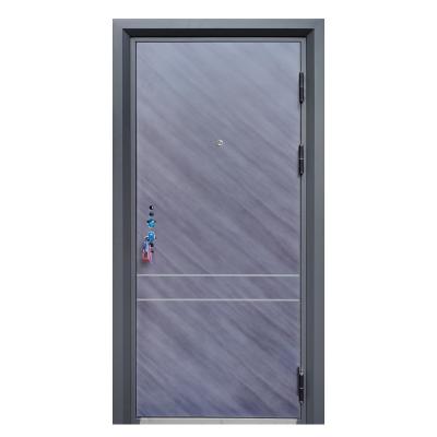 China Modern Pivot Security Door Sound Insulation Main Entrance Steel Door With Lock Smart Iron Exterior House Door Designs for sale