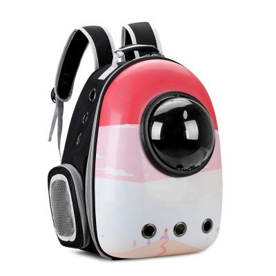 China Factory Sale Various Factory Sale Dog Pet Carriers Portable Transparent Outdoor Backpack Stocked Cat Animal Carriers For Amazon for sale