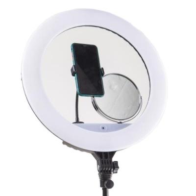 China 2020 Hot 18 Inch ABS Ring Light With Phone Holder And Mirror for sale